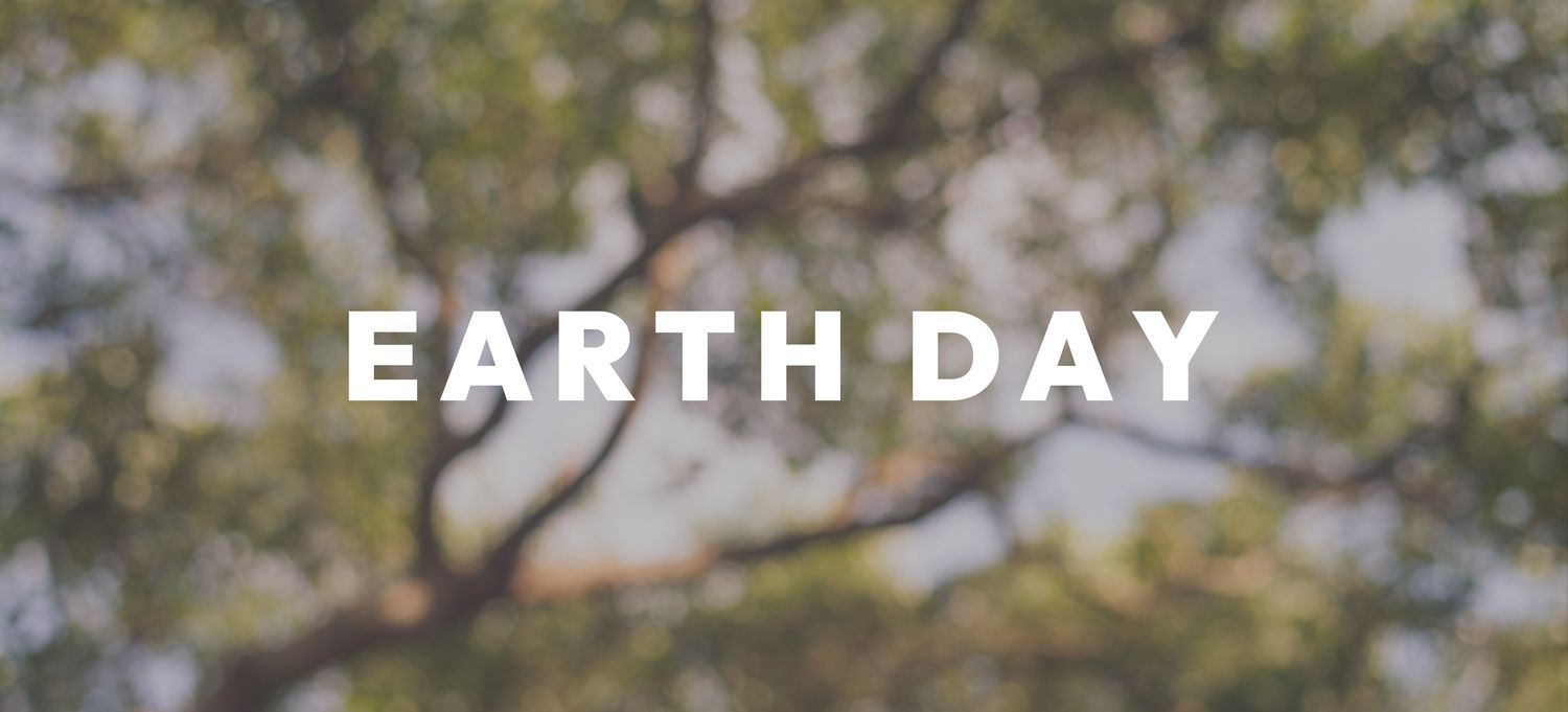 JOUR DE LA TERRE : LA MODE QUI DURE, VRAIMENT