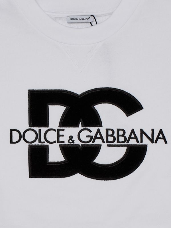スウェット・トレーナー Dolce & Gabbana Felpa Con Placca Logo Dolce & Gabbana logo-embroidered Cotton Sweatshirt | Black