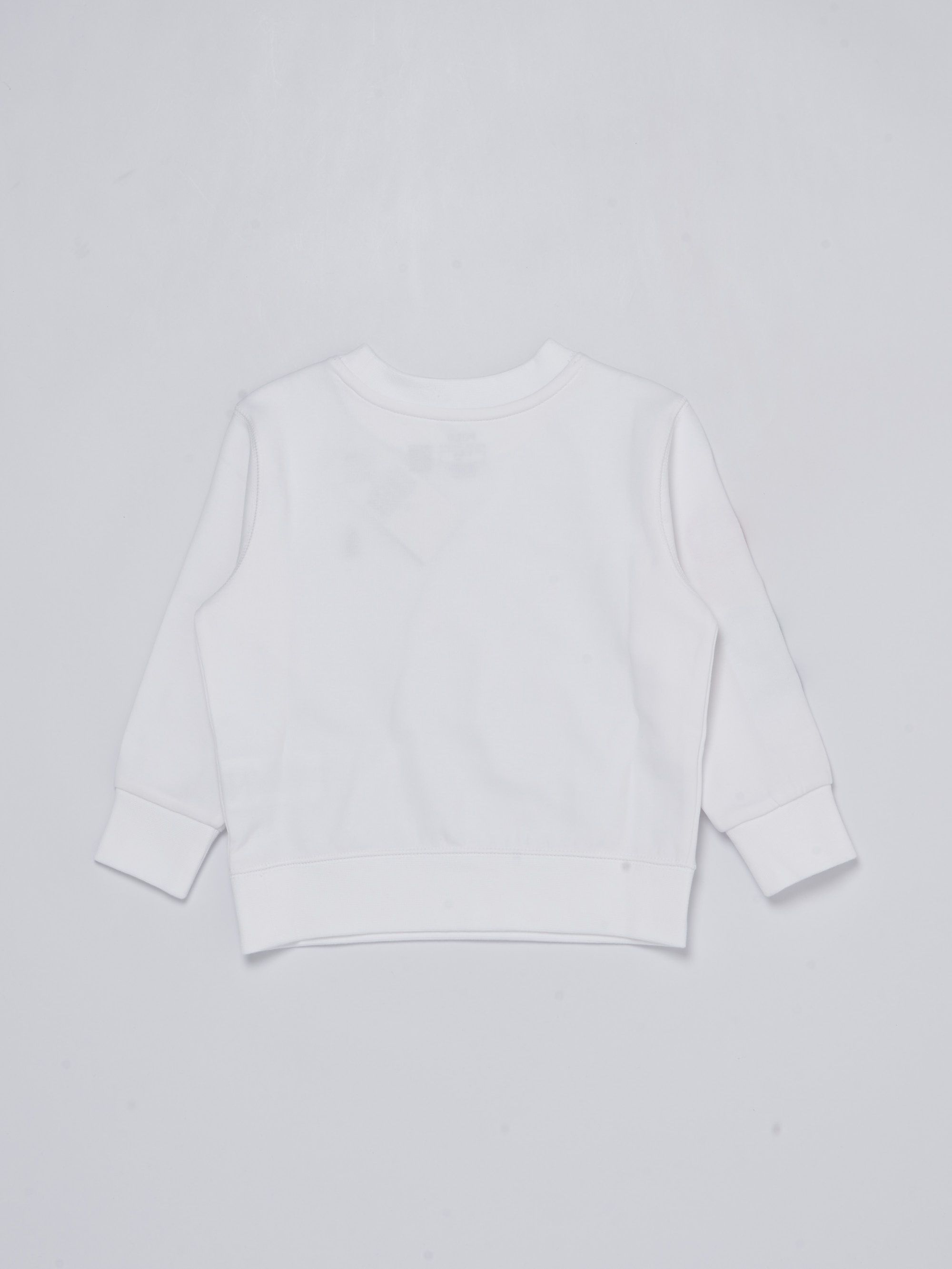 Polo Ralph Lauren boy sweatshirt with multicolor logo