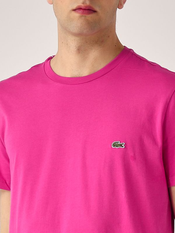 4. Pima Cotton T-shirt for men Deep Pink Lacoste th6709