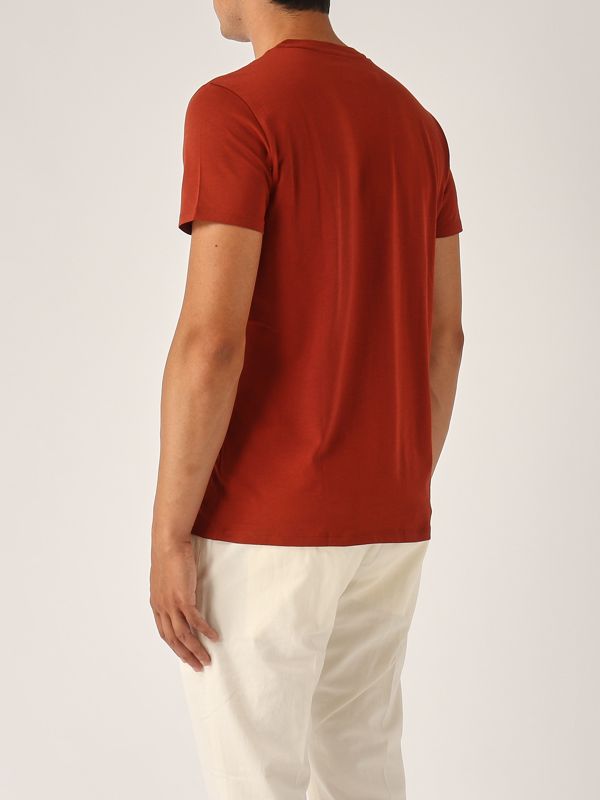 3. Pima Cotton T-shirt for men Rust Lacoste th6709