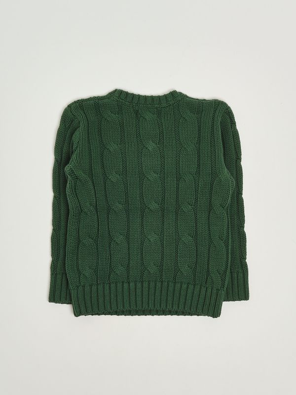 2. Camiseta de niño de algodón Verde Bosque Polo Ralph Lauren 322981036