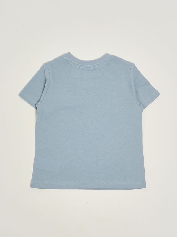 2. Boys' cotton T-shirt Powder Blue Polo Ralph Lauren 322832904