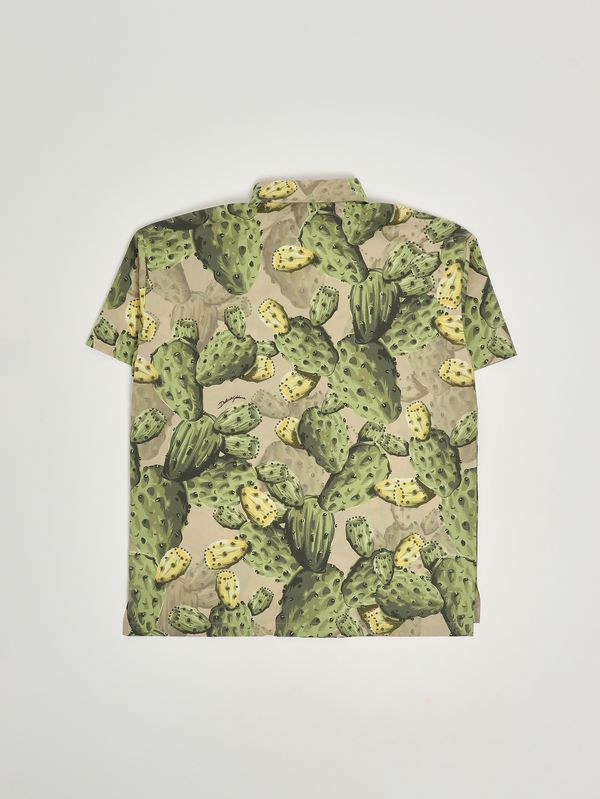 2. Boys' cotton shirt Beige-Green Dolce e Gabbana l44s72hs5ud