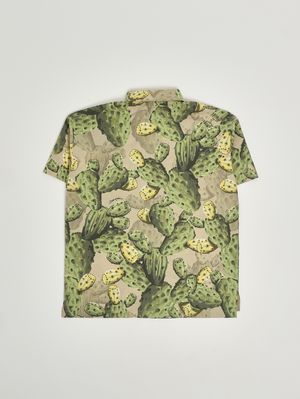 2. Boys' cotton shirt Beige-Green