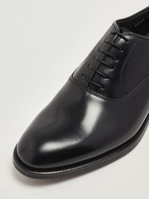 5. Zapato Oxford de hombre en piel cepillada. Azul marino